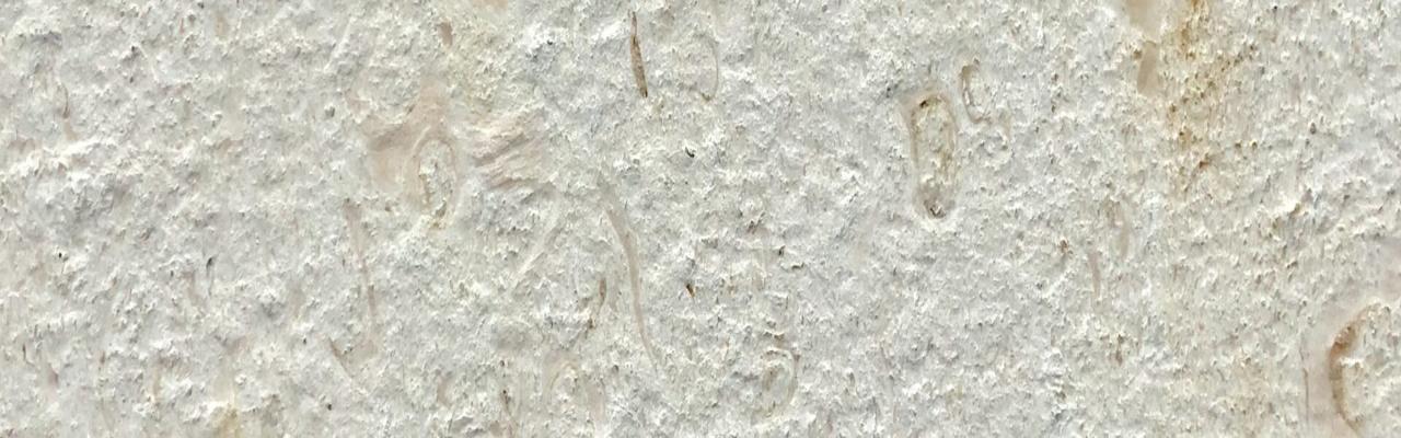 Caliza Hontoria Cepillada